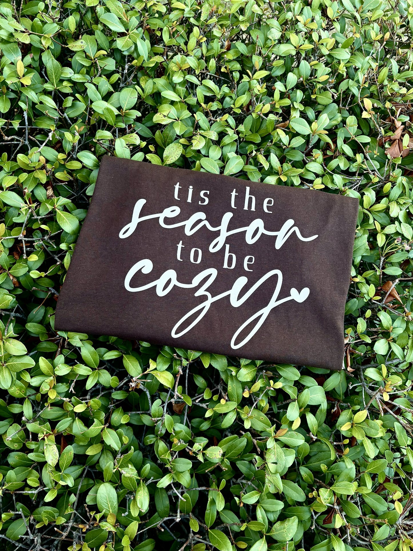 Tis the Season to be Cozy Tee