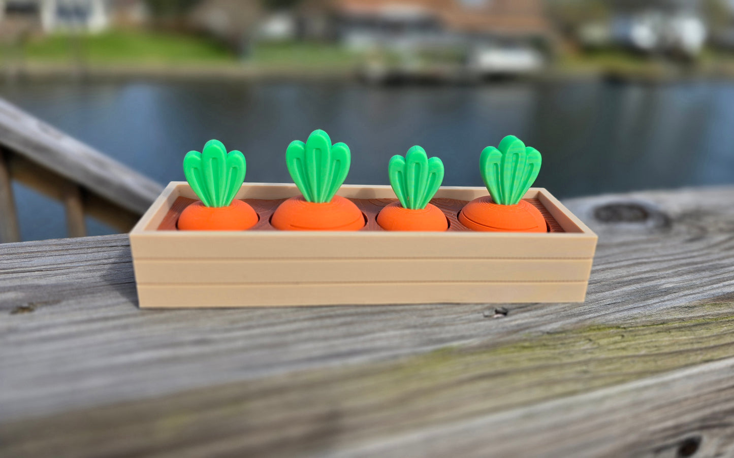 Carrot Garden Fidget Toy